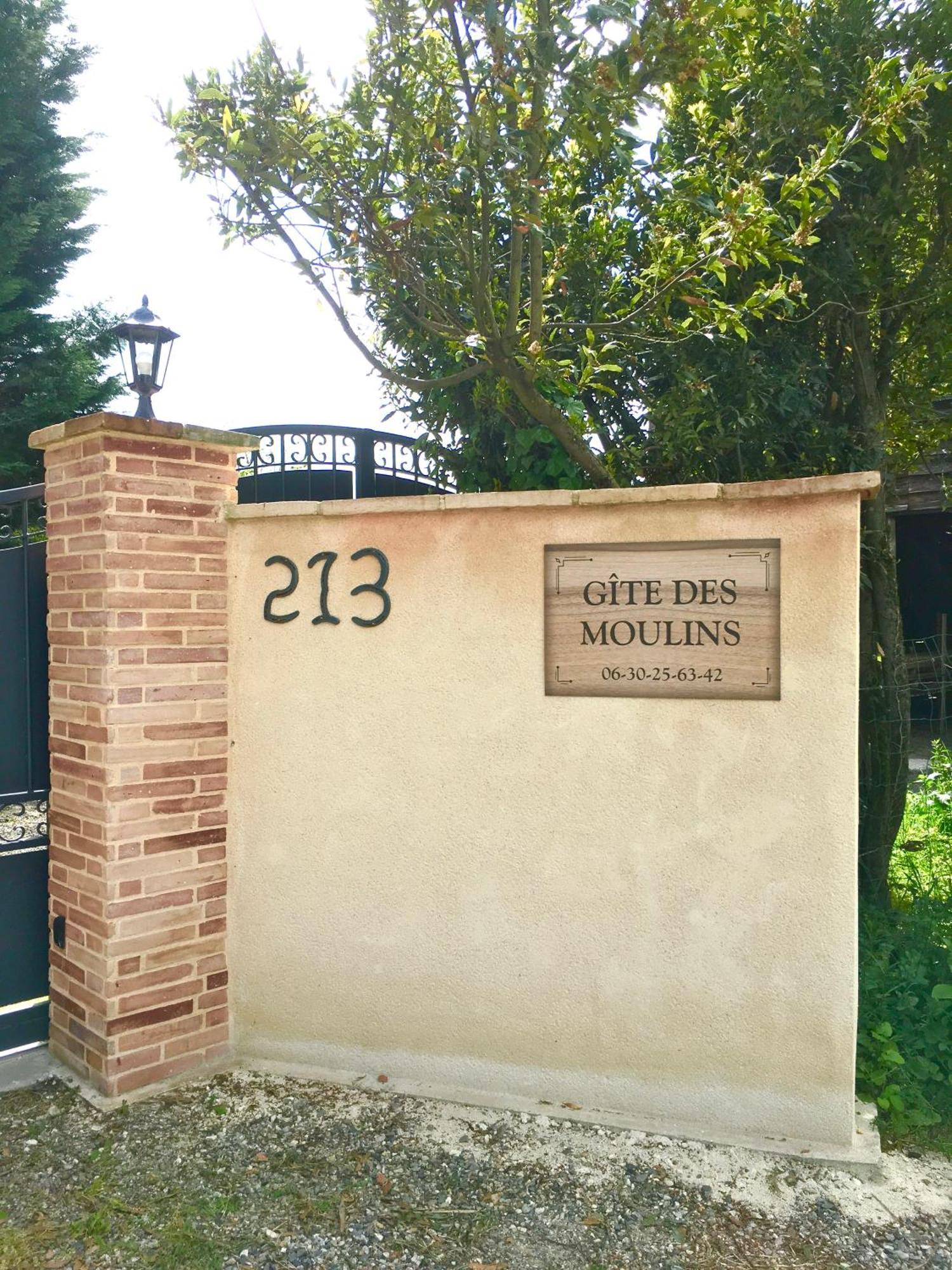 Gite Des Moulins Castelnau-dʼEstrétefonds Buitenkant foto